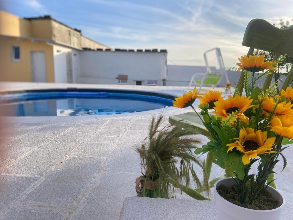 Holiday home Casa Loredana Putignano