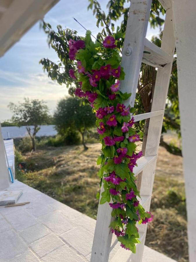 Casa Loredana Holiday home Putignano