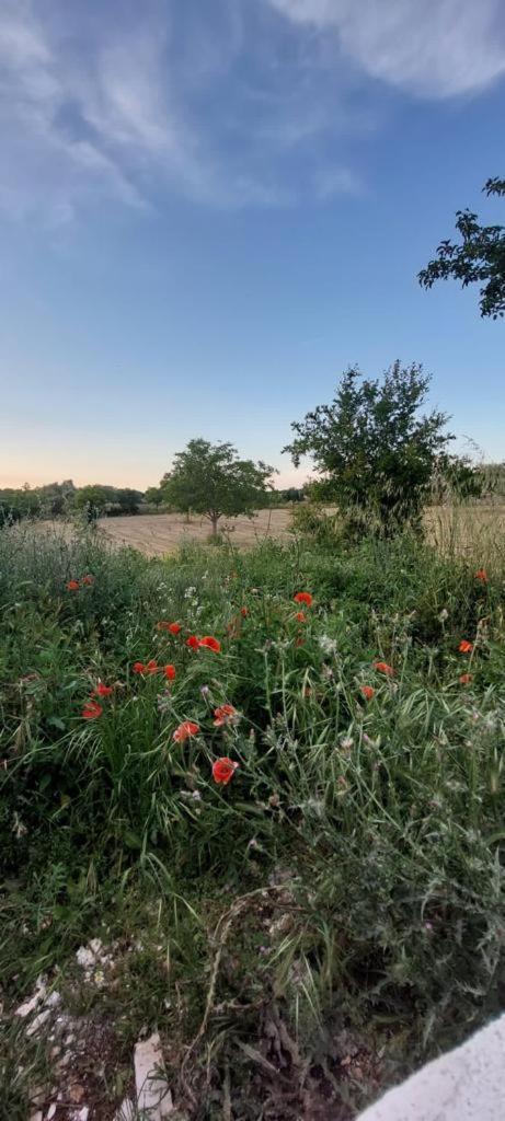 Casa Loredana Holiday home