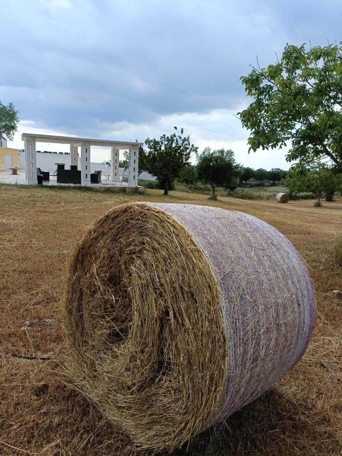 Casa Loredana
